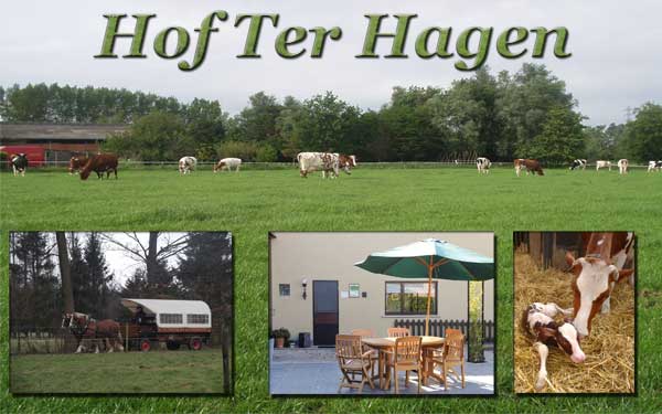 Welkom op de site van Hof ter Hagen